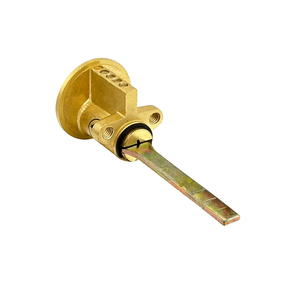 ASTRA Basic RIM Cylinder Brass (1)